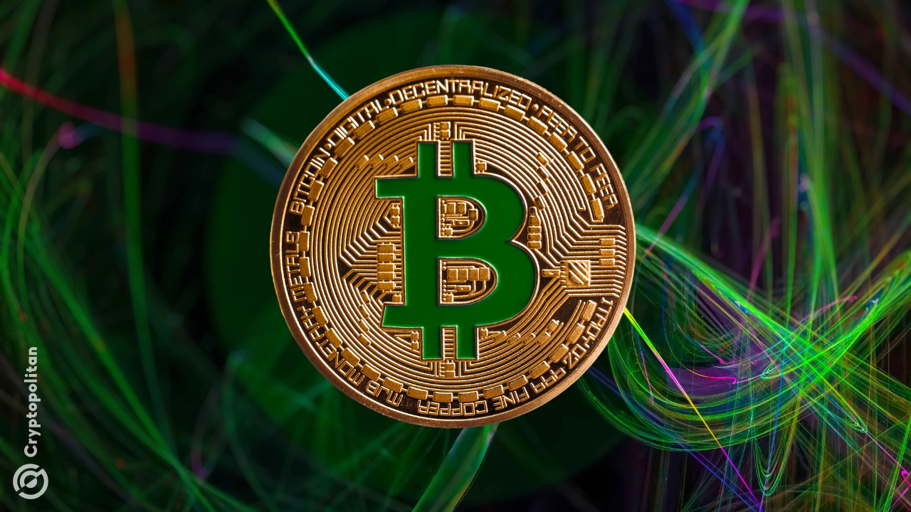 XRP投资骗局被揭发，已有超12.14人被骗！