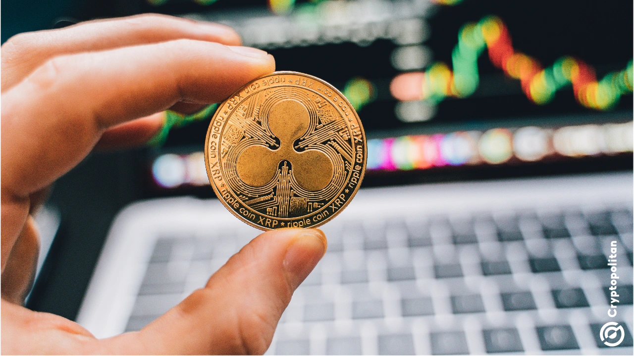 九游体育下载-专家称XRP将在年底冲破246美元，引发引发关注